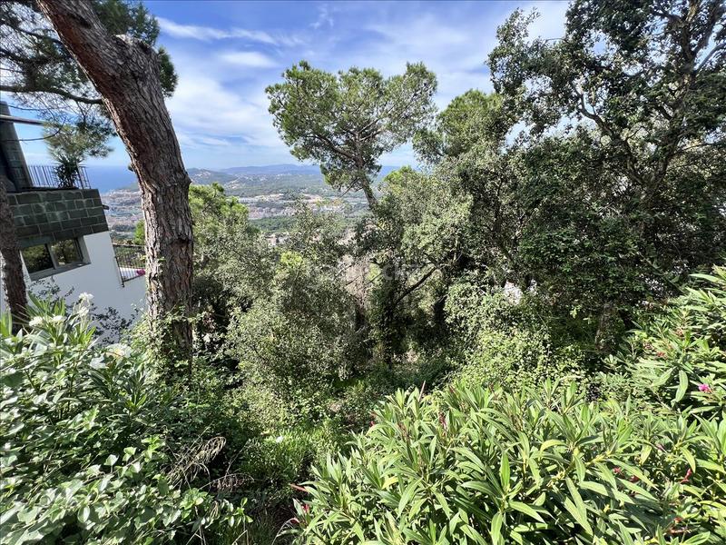 Foto ab739b06-e3aa-4880-a1bf-39bdb15a19f5. Terreny residencial a Roca Grossa Lloret de Mar