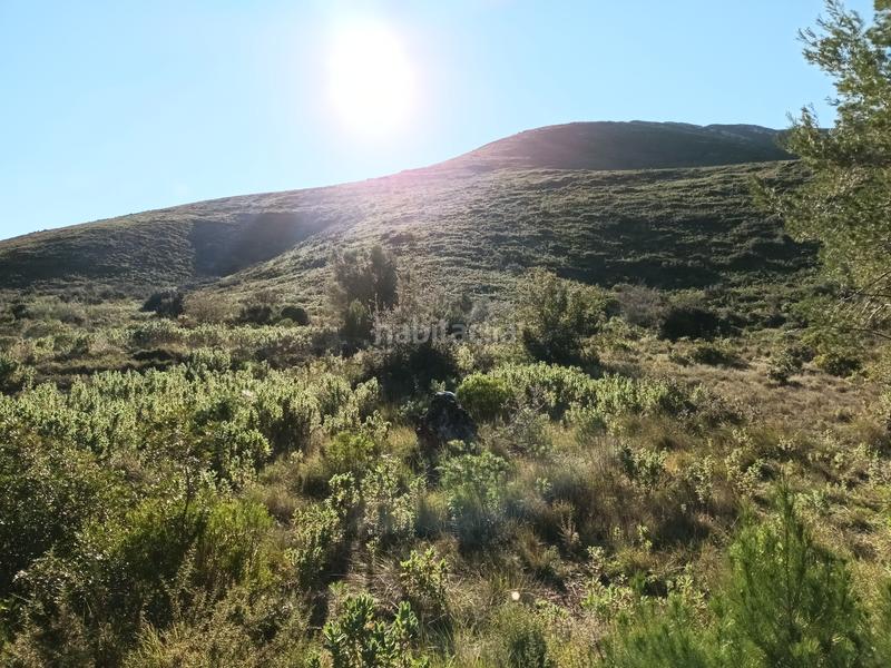 Foto f7142d44-5216-488c-8bea-079f5cf585d9. Terreno residencial en Macastre