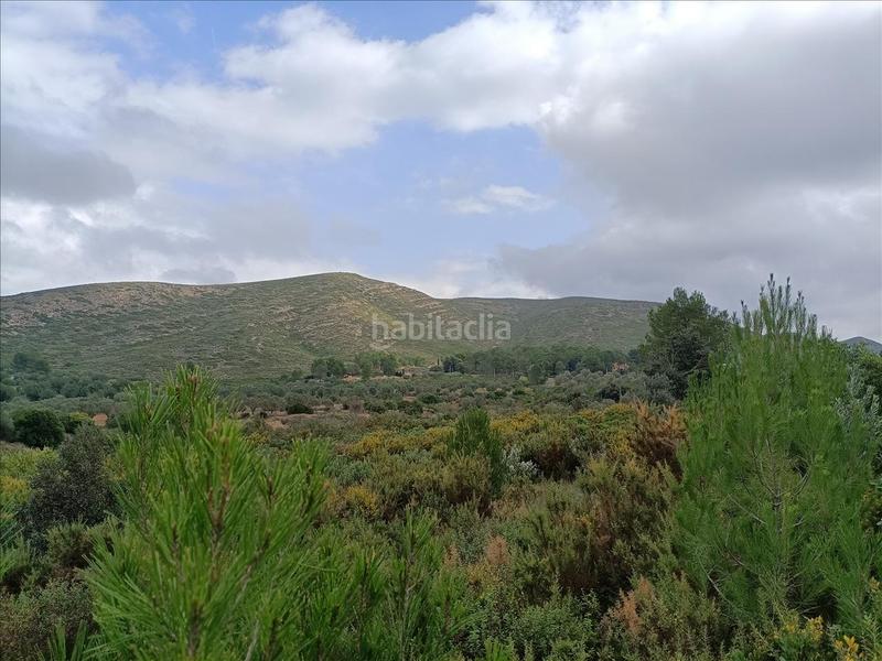 Foto ae031b9a-805b-4754-8e28-079c8dadbe21. Terrain résidentiel dans Macastre