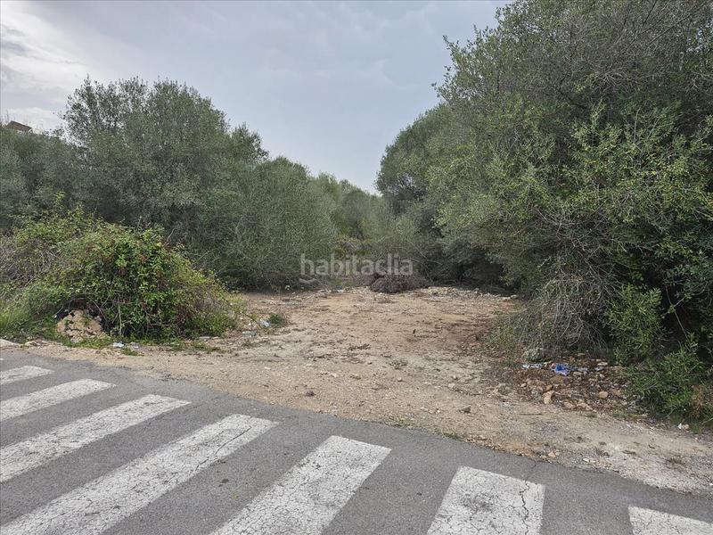 Foto c7a6004f-517d-45e6-b309-97b2daa9434c. Terreno residenziale in Centro Comercial - Capsades - Hospital Vinaròs