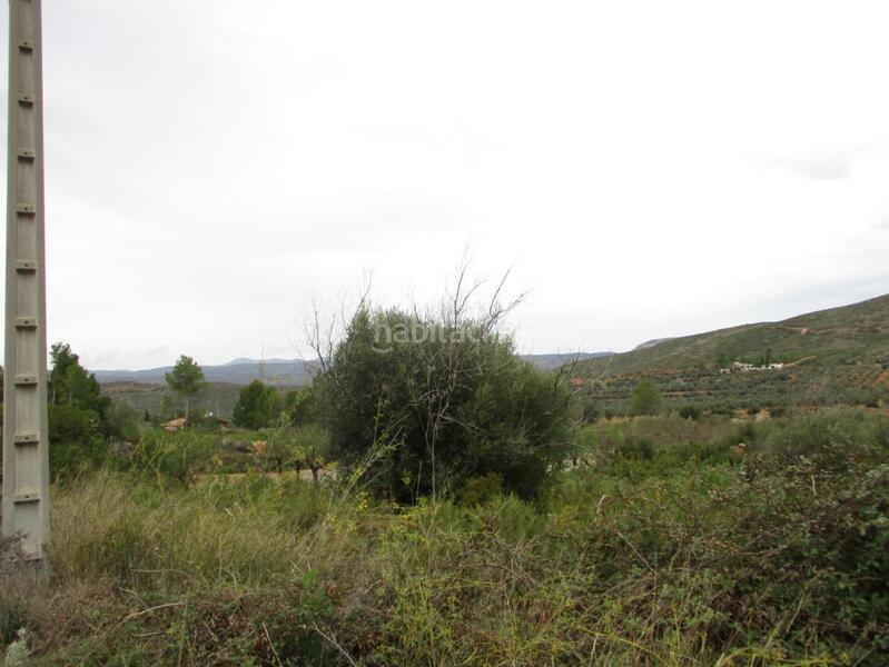 Foto 0975a03a-83a8-489b-bd13-730660bd1a4b. Terreno residencial en Macastre