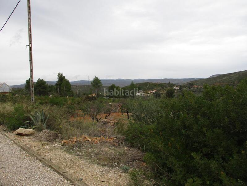 Foto c64ad044-1e39-46ad-a3e8-78e804d4a88c. Terreno residencial en Macastre