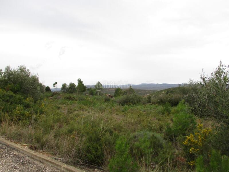 Foto 7ceb3741-4750-4135-ba12-41cc70de9803. Terreno residenziale in Macastre