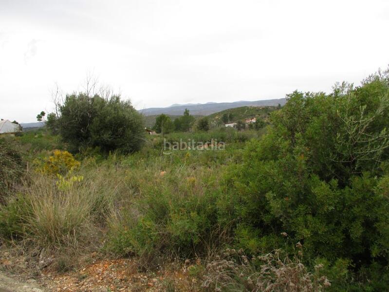 Foto 8d7e4387-9518-4c79-8832-f1a336468bfd. Terreno residenziale in Macastre