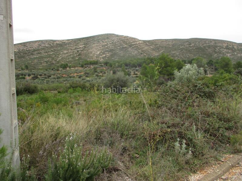 Foto 93f0d38f-3efd-48a0-9180-57bd8e999bab. Terreno residenziale in Macastre