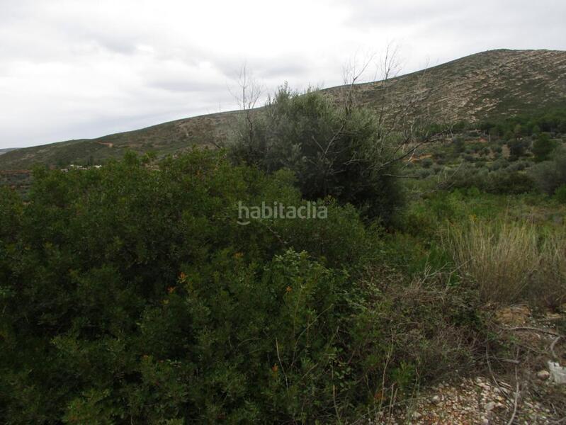 Foto c21116db-4599-46b6-9227-550623e02366. Terreno residenziale in Macastre