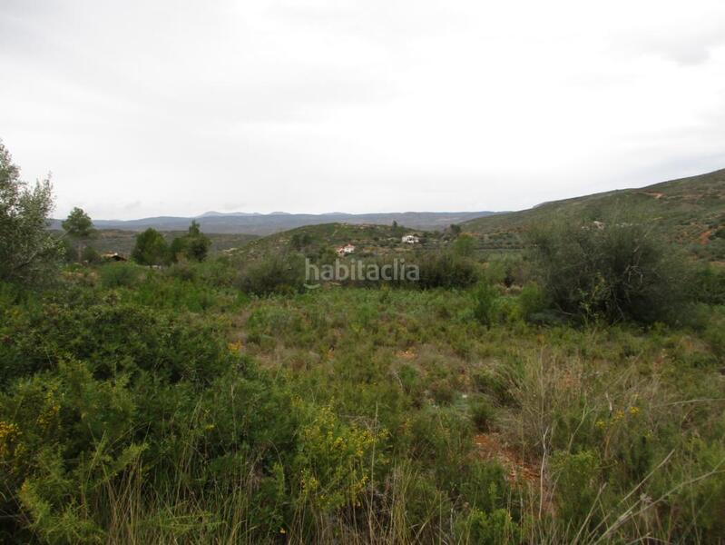 Foto e715e9b0-a080-4f98-b66d-db67008c0821. Terreno residenziale in Macastre