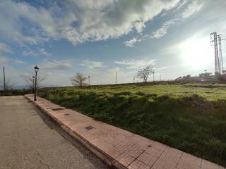 Terreny residencial  Cl julian torres (infantas) parcela 71