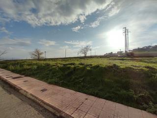 Terreny residencial  Catalina
