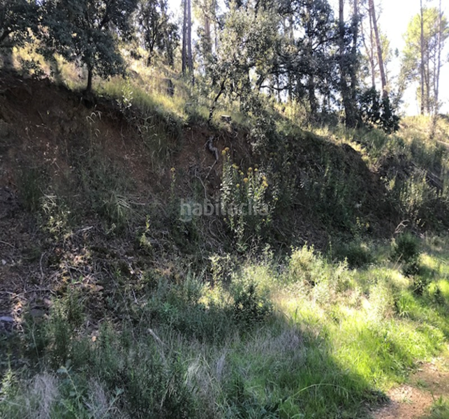 Foto 1222c8cb-6912-46cb-9478-fcf3f1810ca9. Terreny residencial a Riudecanyes