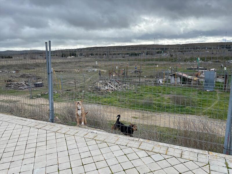 Foto 4ae70915-946c-49ff-b3dc-bbb1dbc9ee2d. Terreno residencial en Zona Rural Ávila