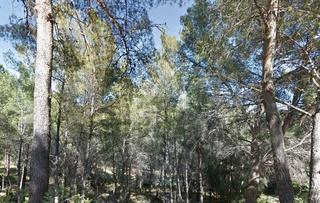 Terreny residencial  Refugio