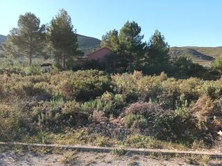 Terreny residencial  Llanorel