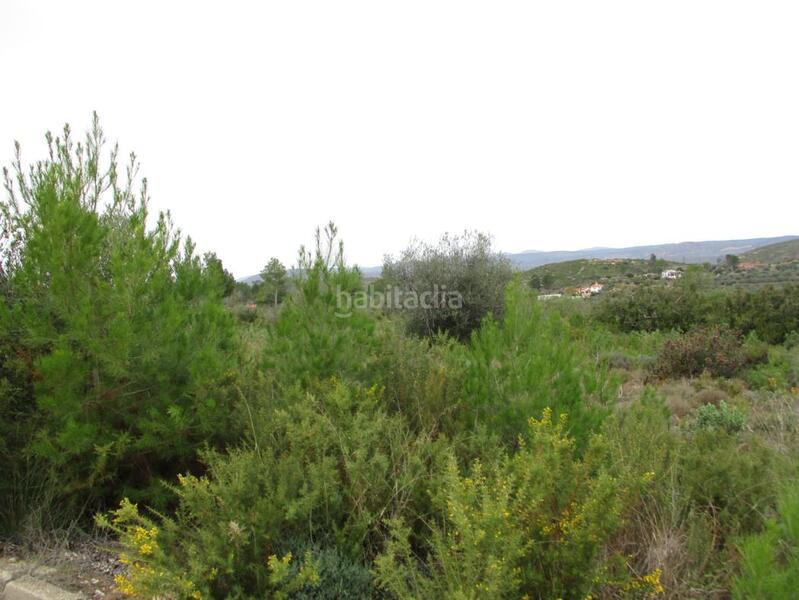 Foto 962818aa-2d3c-4fe0-837b-73de1e2a3ab8. Terreno residenziale in Macastre