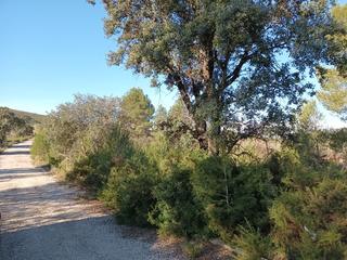 Residential Plot  Llanorel
