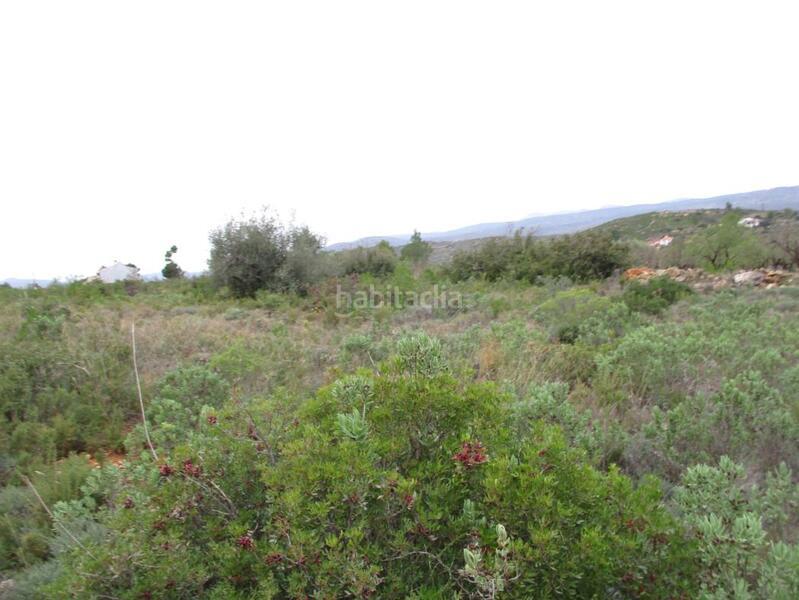 Foto 79a506ad-1109-41c2-84ce-09273598e03a. Terreny residencial a Macastre