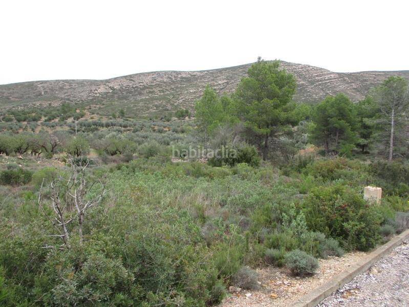 Foto c54ba37c-3cf4-4c9d-bb2b-41314eede0b8. Terreny residencial a Macastre