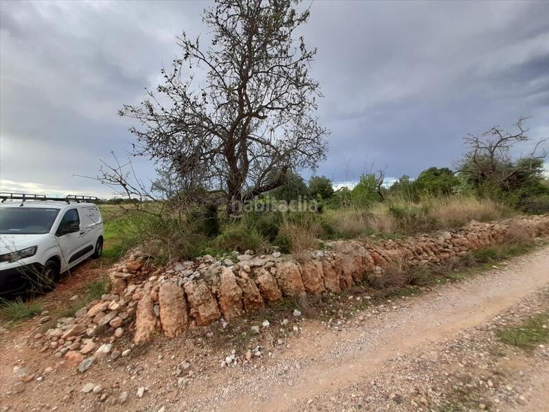 Foto 4ec76455-055e-4081-994b-f7d77d8b1f45. Terreny residencial a Alcossebre