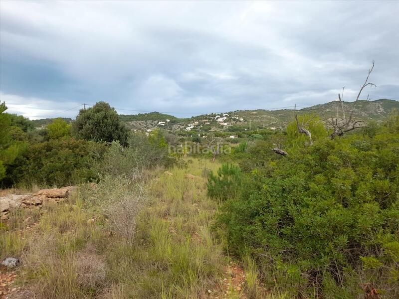 Foto 7cb664e0-c217-4a13-83b6-5f182f45f72c. Terreny residencial a Alcossebre