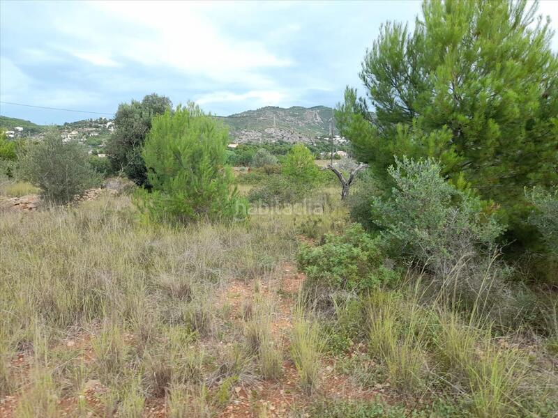 Foto b0168425-e6e7-4d62-9922-4925c58a162e. Terreny residencial a Alcossebre