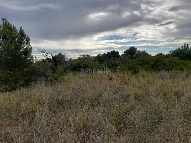 Foto b6d09079-1428-4542-a8b9-35581497a4fb. Terreny residencial a Alcossebre