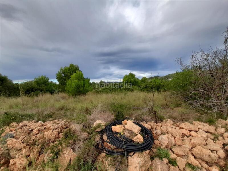 Foto cb0736da-32bc-4780-b53c-dc27b5877ae7. Terreny residencial a Alcossebre