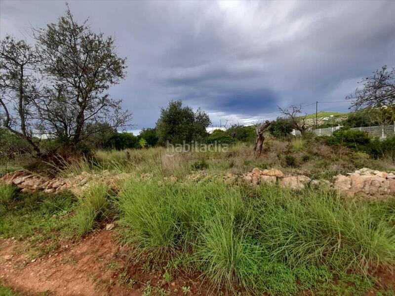 Foto 435915d5-f230-4cee-a0a9-a4c8bf1efa71. Terrain résidentiel dans Alcossebre