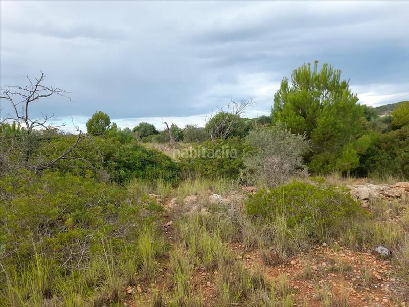 Foto 83096beb-814f-40a5-af30-38c9d17f81d3. Terrain résidentiel dans Alcossebre