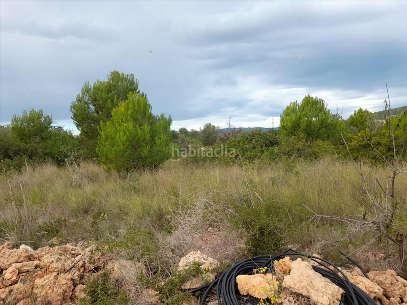 Foto 92aa2f46-d629-44d2-8e7c-3ec61d976286. Terrain résidentiel dans Alcossebre