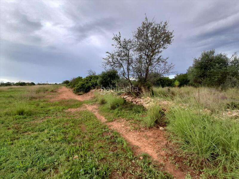 Foto fa8c0f88-b22d-4670-8780-5418b41e20d0. Terrain résidentiel dans Alcossebre