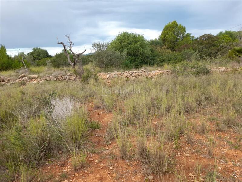 Foto 740a2dc6-6362-4bf5-9638-23d3f276b021. Wohngrundstück in Alcossebre