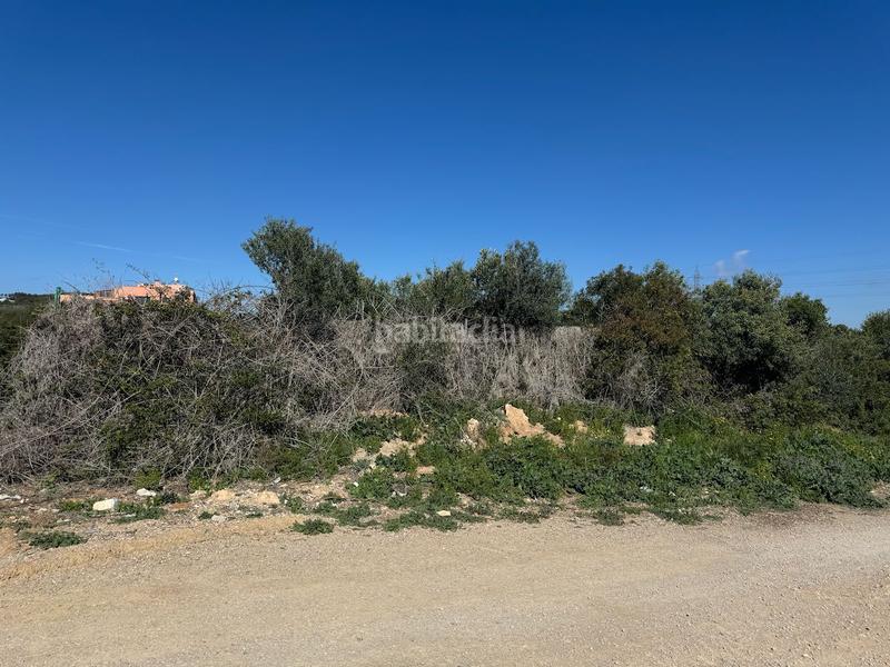 Foto 130ef14f-e557-49a1-9280-8a7ce30ddd89. Terreno residencial en Coma-ruga platja Coma-ruga