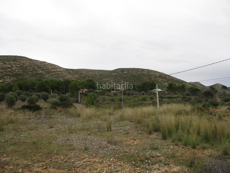 Foto ab771755-63a4-4b88-8c4c-b0177ea79a95. Terreny residencial a Macastre