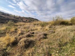 Terreny residencial  Guindalera, poligono 9 parcela 5119