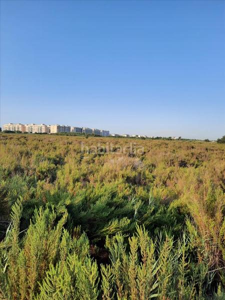 Foto a266daa2-e8c8-4f0f-bfda-814dffe95f92. Terreno residenziale in La Torre-Playa de Chilches Moncofa