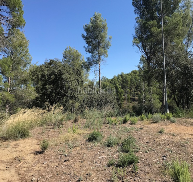 Foto e36a3638-2d5e-4e2f-8391-526f27a27ebd. Terreny residencial a Riudecanyes