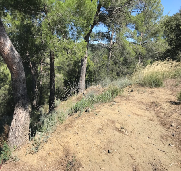 Foto 12acd559-18bd-42e5-b821-6905bace5d9b. Wohngrundstück in Riudecanyes