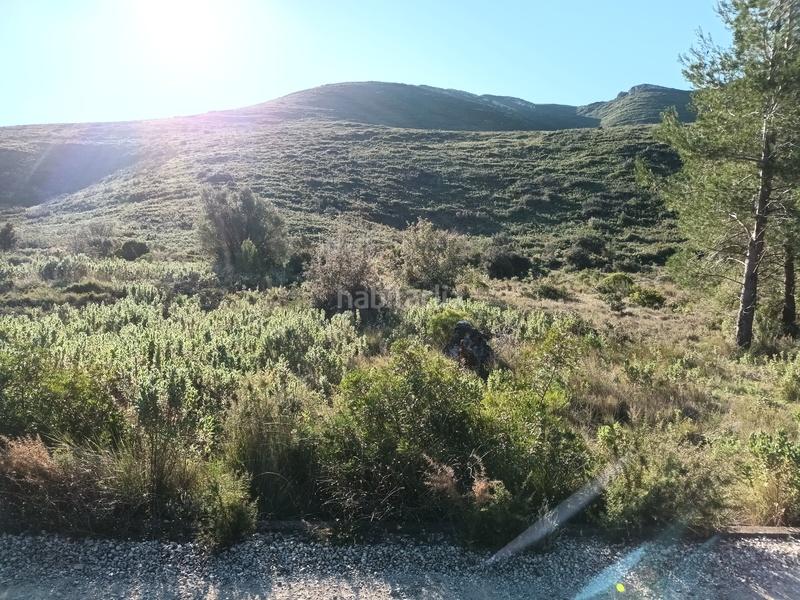 Foto 1569da9a-2f77-4ca7-82fa-6964f840e3d4. Terreno residencial en Macastre