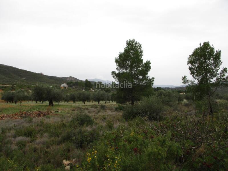 Foto 30764f64-c219-45eb-a410-6bd84b3bf9cb. Terreno residencial en Macastre