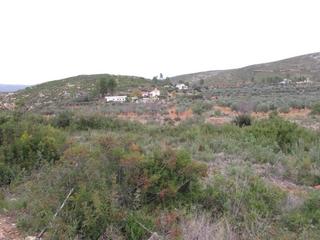 Terreny residencial  Llanorel