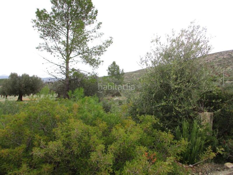 Foto bf536710-4e7d-4a0f-ba7a-8cbfac133e49. Terreno residencial en Macastre