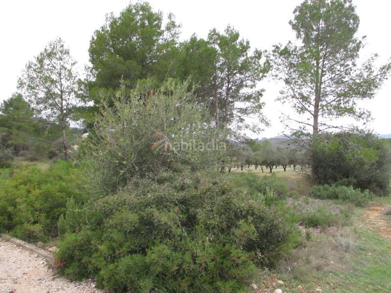 Foto f8601616-d7f3-41d3-86a5-1b21c1cd483e. Terreno residencial en Macastre