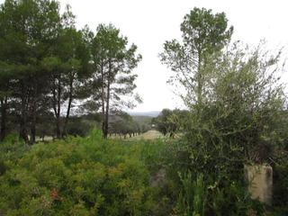 Terreny residencial  Llanorel