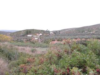 Terreny residencial  Llanorel