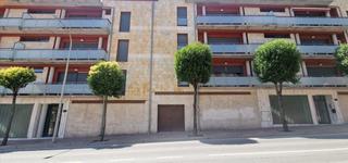 Local Comercial  Camilo jose