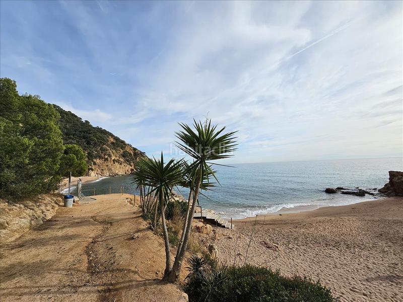 Foto b3d4ef6f-3df6-4a75-a747-59c6e9faaee0. Piccolo appartamento in Rosamar Santa Cristina d´Aro