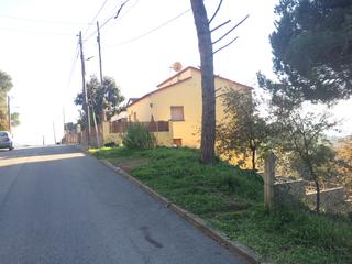 Residential Plot  Dalia