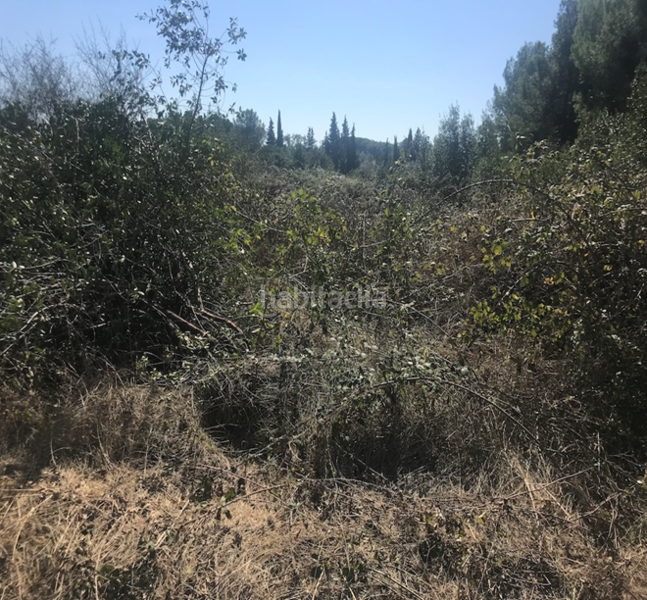 Foto 995d91b2-b3a2-48d5-be4e-fe66453314d6. Terreny residencial a Mas Mora-Sant Daniel Tordera