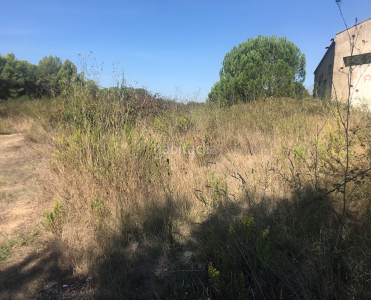 Foto b055b182-bda6-4ce0-b48f-1fc9f417977c. Terreny residencial a Mas Mora-Sant Daniel Tordera