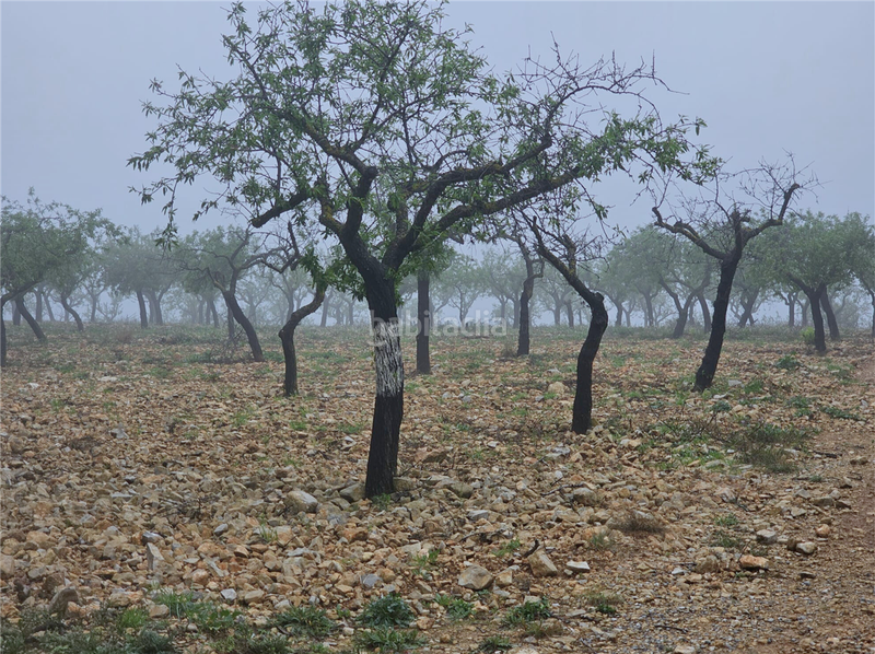 Foto 1a3aa08c-f519-47a4-a2c5-406a59469fe3. Terreny residencial a Altura